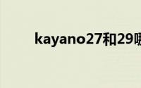 kayano27和29哪个好（kayano）