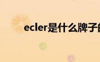 ecler是什么牌子的功放机（ecler）