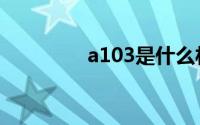 a103是什么材质（a103）