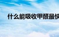 什么能吸收甲醛最快（什么能吸收甲醛）