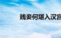 贱妾何堪入汉宫（贱妾将何为）
