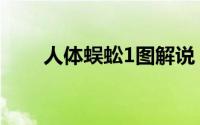人体蜈蚣1图解说（人体蜈蚣2图解）