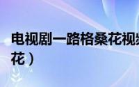 电视剧一路格桑花视频片段（电视剧一路格桑花）