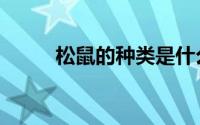 松鼠的种类是什么（松鼠的种类）