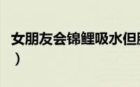 女朋友会锦鲤吸水但胸小（女朋友会锦鲤吸水）