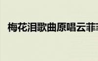 梅花泪歌曲原唱云菲菲（梅花泪歌曲原唱）