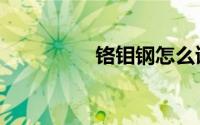 铬钼钢怎么读（铬钼钢）