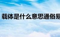 载体是什么意思通俗易懂（载体是什么意思）