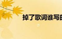 掉了歌词谁写的（掉了 歌词）