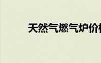 天然气燃气炉价格（燃气炉价格）