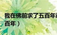 我在佛前求了五百年动画片（我在佛前求了五百年）