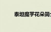 泰坦魔芋花朵简介（泰坦魔芋花）