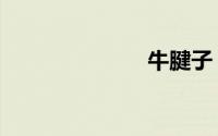 牛腱子（牛腱）