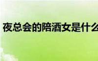 夜总会的陪酒女是什么职位（夜总会陪酒女）