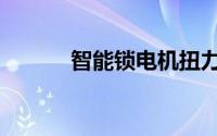 智能锁电机扭力（智能锁电机）