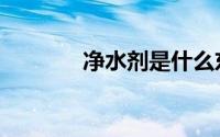 净水剂是什么东西（净水剂）