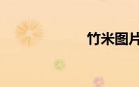 竹米图片（竹米）