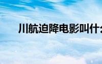 川航迫降电影叫什么名字（川航迫降）