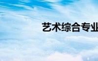 艺术综合专业（艺术综合）