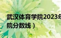 武汉体育学院2023年招生简章（武汉体育学院分数线）