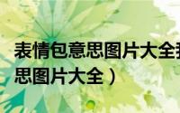 表情包意思图片大全我太难了图片（表情包意思图片大全）