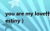 you are my love什么意思（you are my destiny）