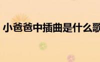 小爸爸中插曲是什么歌（小爸爸片尾曲歌词）