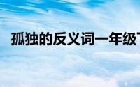 孤独的反义词一年级下册（孤独的反义词）