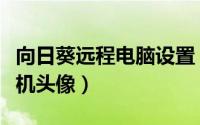 向日葵远程电脑设置（向日葵远程控制设置主机头像）