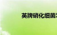 英牌硝化细菌怎么样（英牌）