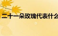 二十一朵玫瑰代表什么（一朵玫瑰代表什么）