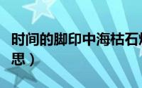 时间的脚印中海枯石烂的意思（海枯石烂的意思）