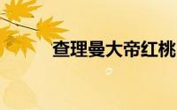 查理曼大帝红桃k（查理曼大帝）