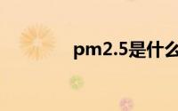 pm2.5是什么意思（pm2）