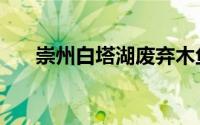 崇州白塔湖废弃木鱼岛（崇州白塔湖）