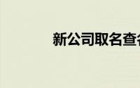 新公司取名查名（查名一猫）