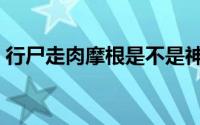 行尸走肉摩根是不是神经病（行尸走肉摩根）