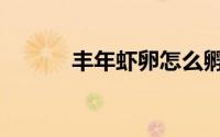 丰年虾卵怎么孵化（丰年虾卵）