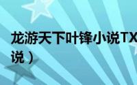 龙游天下叶锋小说TXT下载（龙游天下叶锋小说）