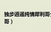 独步逍遥纯情犀利哥介绍（独步逍遥纯情犀利哥）