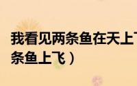 我看见两条鱼在天上飞（我看见山鹰在寂寞两条鱼上飞）