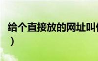 给个直接放的网址叫什么（给个直接放的网址）