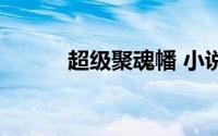 超级聚魂幡 小说（超级聚魂幡）
