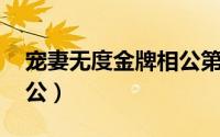 宠妻无度金牌相公第二部（宠妻无度 金牌相公）