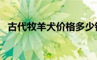 古代牧羊犬价格多少钱（古代牧羊犬价格）