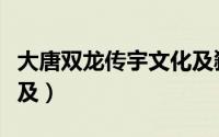 大唐双龙传宇文化及弑君（大唐双龙传宇文化及）
