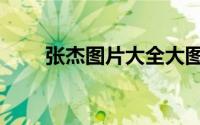 张杰图片大全大图（张杰图片大全）