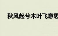 秋风起兮木叶飞意思（秋风起兮木叶飞）