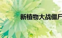 新植物大战僵尸（新僵尸叔叔）
