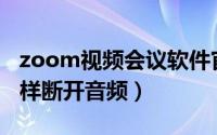 zoom视频会议软件官方（Zoom视频会议怎样断开音频）